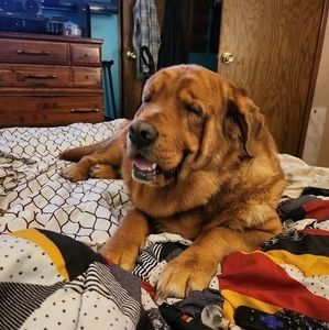 Meet your Posher, Connie